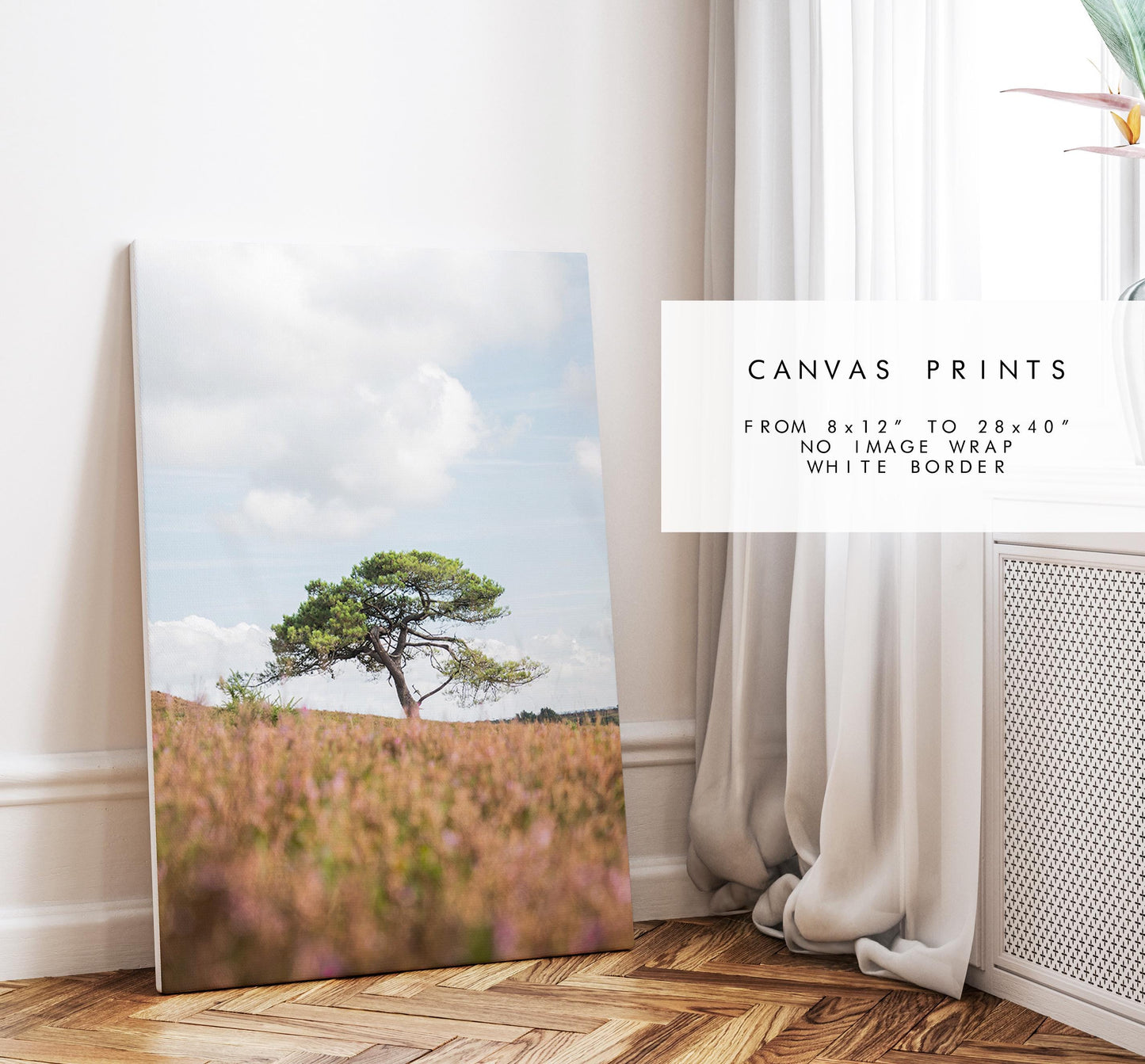 Lone Tree Photography Print - New Forest - Hampshire Photography Prints - Wall Art -  Frame and Canvas Options - Portrait  - UK