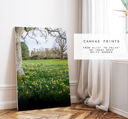 Beaulieu Photography Print - Hampshire Photography Prints - Wall Art -  Frame and Canvas Options - Portrait  - UK