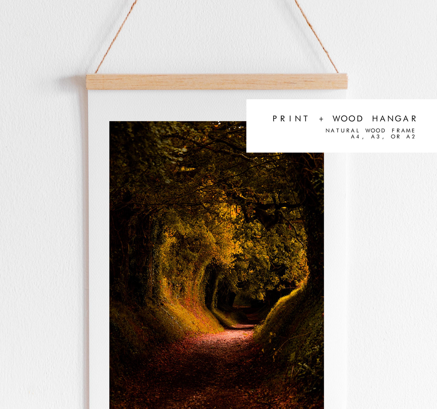 Halnaker Tree Tunnel Photography Print - West Sussex Photography Prints - Wall Art -  Frame and Canvas Options - Portrait  - UK