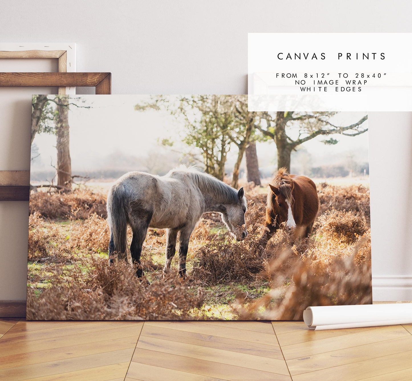 New Forest Ponies Photography Print - Hampshire Photography Prints - Wall Art -  Frame and Canvas Options - Landscape  - UK