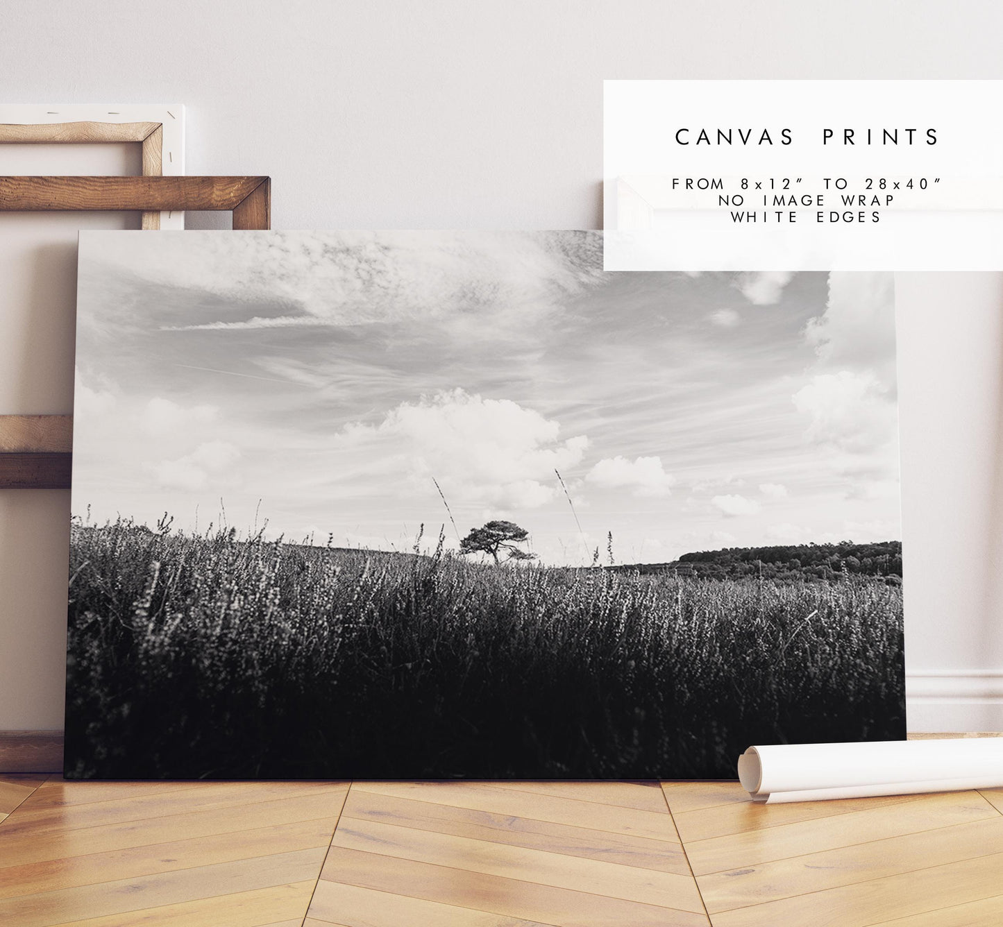 Lone Tree Black and White Photography Print - New Forest - Hampshire Photography Prints -  Frame and Canvas Options - Landscape  - UK