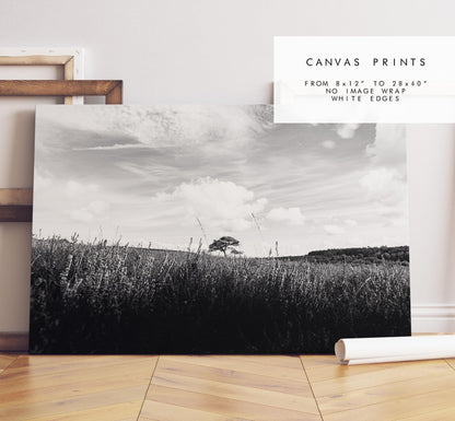 Lone Tree Black and White Photography Print - New Forest - Hampshire Photography Prints -  Frame and Canvas Options - Landscape  - UK