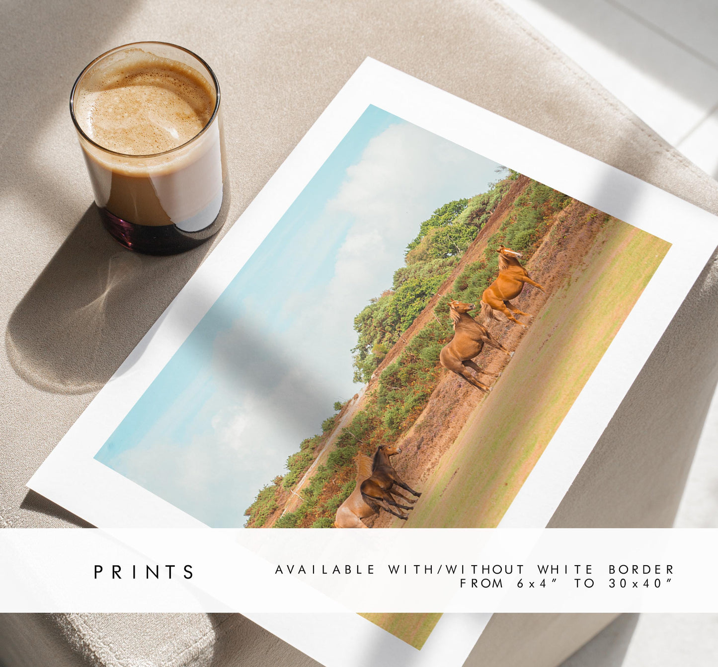 New Forest Photography Print - Hampshire Photography Prints - Wall Art -  Frame and Canvas Options - Landscape  - UK