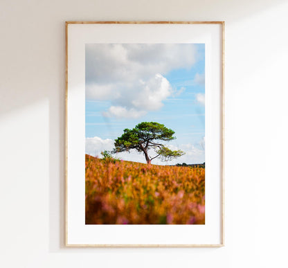 New Forest Photography Print - Hampshire Photography Prints - Wall Art -  Frame and Canvas Options - Portrait  - UK