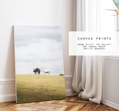 New Forest Pony Photography Print - Hampshire Photography Prints - Wall Art -  Frame and Canvas Options - Portrait  - UK