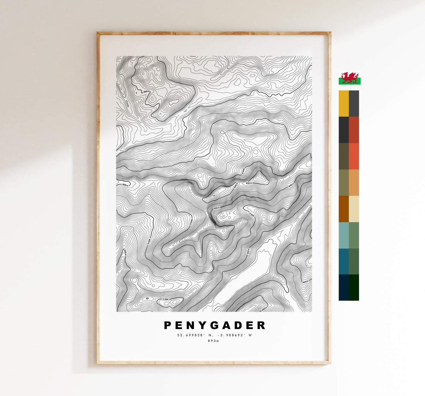 Penygader Print - Contour Map - Snowdonia - Wales - Topographic Map - Print - Poster - Wall Art - Penygader Poster - Cadair Idris