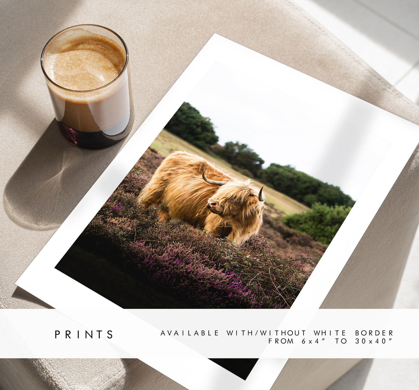 Highland Cow Photography Print - New Forest - Hampshire Photography Prints - Wall Art -  Frame and Canvas Options - Portrait  - UK