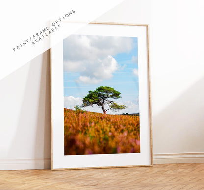 New Forest Photography Print - Hampshire Photography Prints - Wall Art -  Frame and Canvas Options - Portrait  - UK