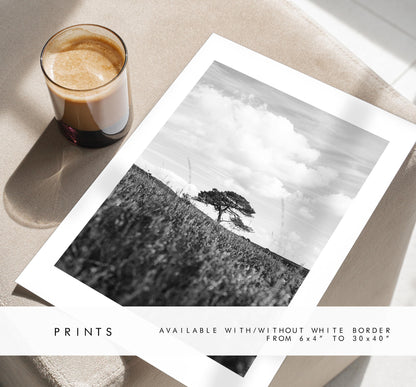 Black and White Tree Photography Print - New Forest - Hampshire Photography Prints - Wall Art -  Frame and Canvas Options - Portrait  - UK