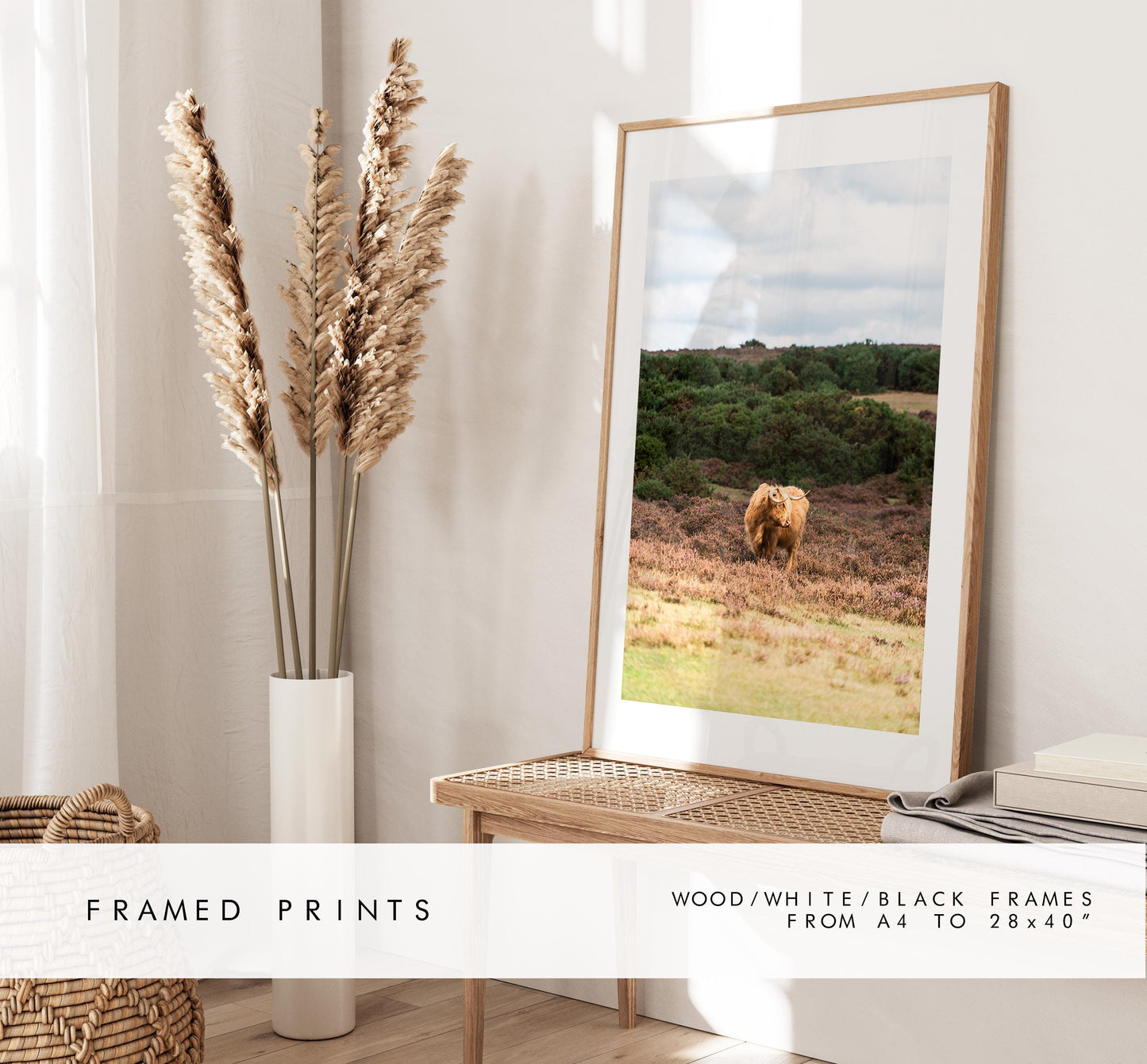 Highland Cow Photography Print - New Forest - Hampshire Photography Prints - Wall Art -  Frame and Canvas Options - Portrait  - UK