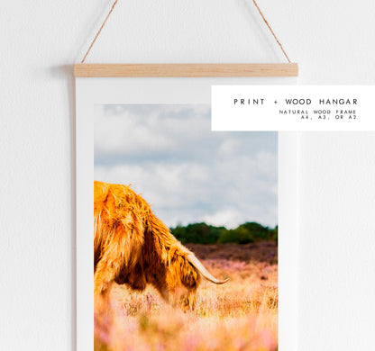 Highland Cow Photography Print - New Forest - Hampshire Photography Prints - Wall Art -  Frame and Canvas Options - Portrait  - UK