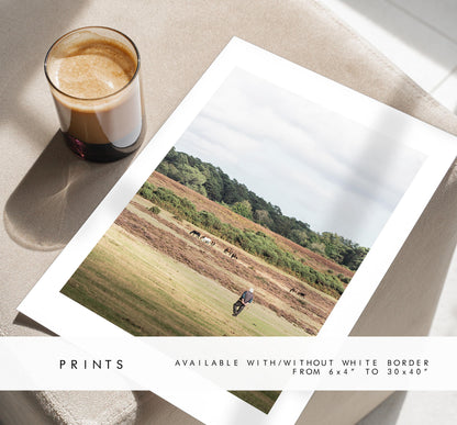 New Forest Photography Print - Hampshire Photography Prints - Wall Art -  Frame and Canvas Options - Portrait  - UK