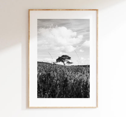 Black and White Tree Photography Print - New Forest - Hampshire Photography Prints - Wall Art -  Frame and Canvas Options - Portrait  - UK