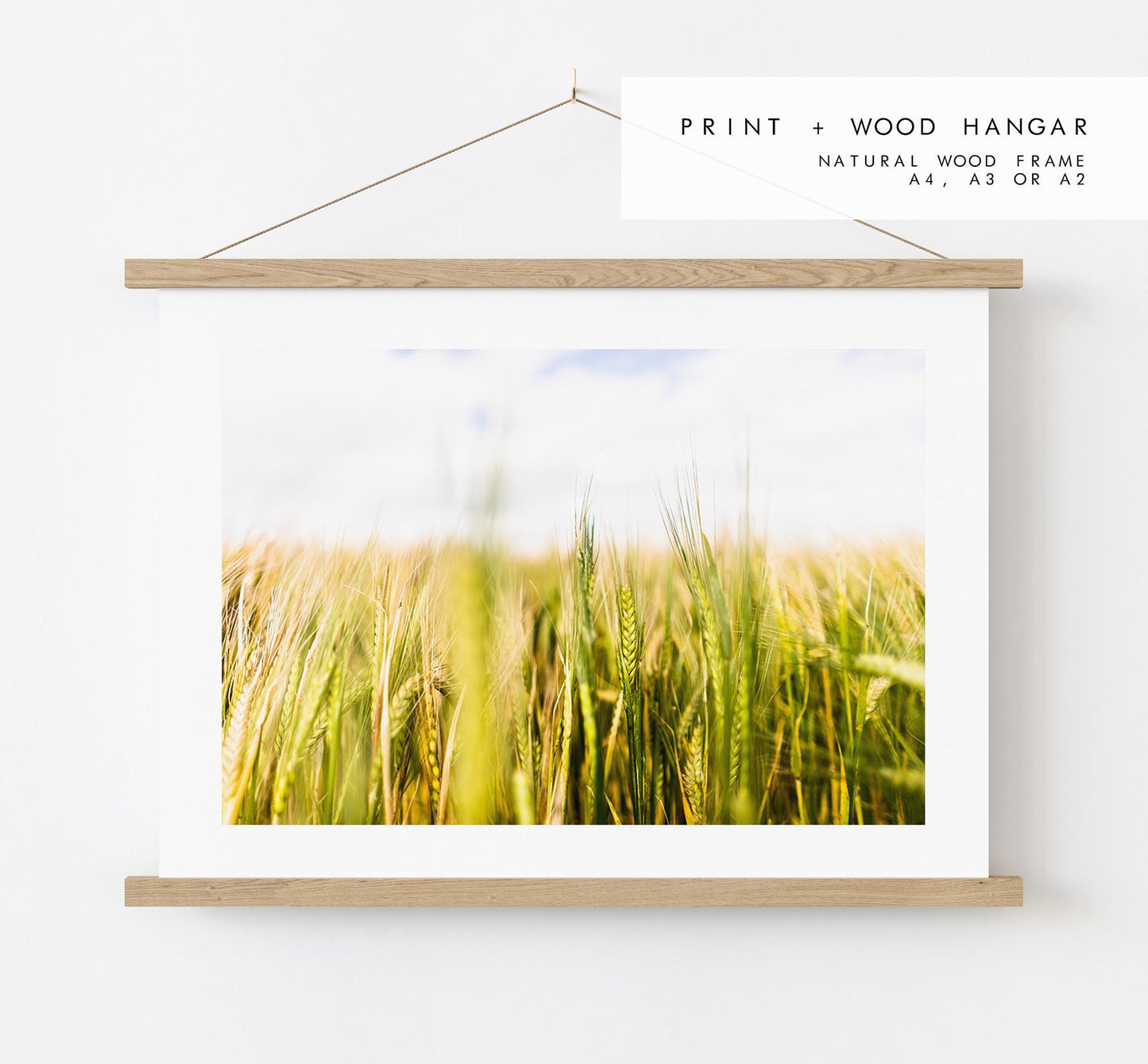 Wheat Field Photography Print - West Sussex Photography Prints - Wall Art -  Frame and Canvas Options - Landscape  - UK