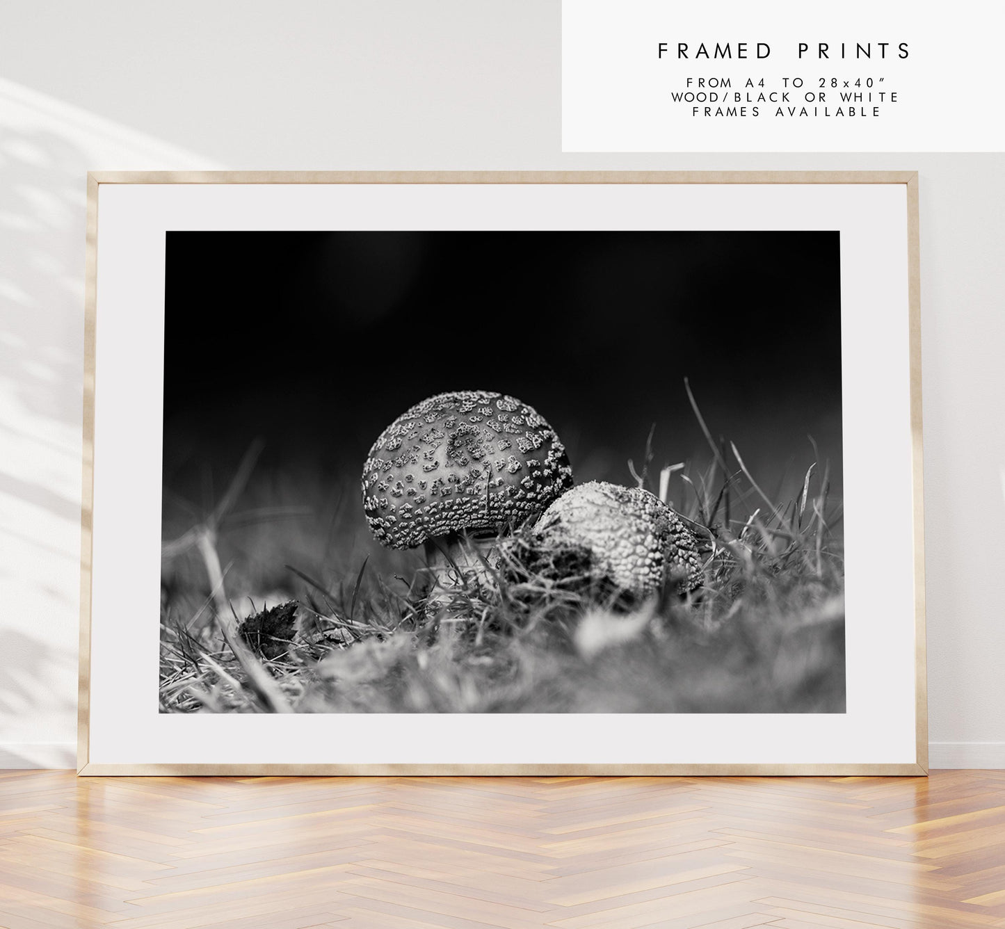 Mushroom Black and White Photography Print - Hampshire Photography Prints - Wall Art -  Frame and Canvas Options - Landscape  - UK