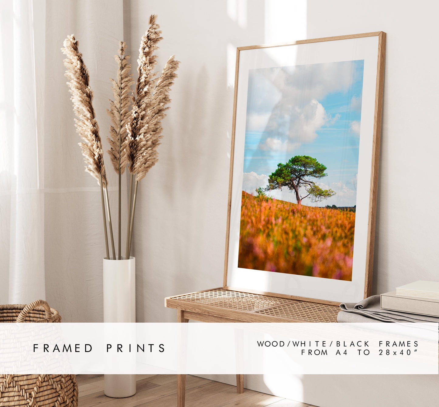 New Forest Photography Print - Hampshire Photography Prints - Wall Art -  Frame and Canvas Options - Portrait  - UK
