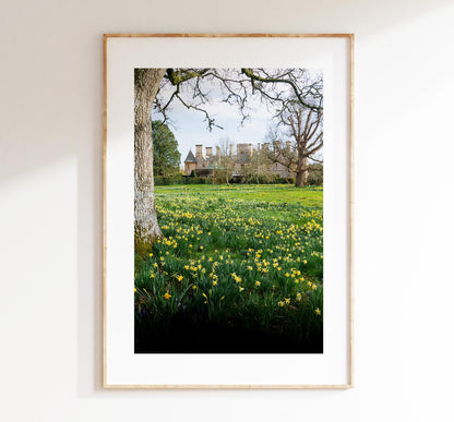 Beaulieu Photography Print - Hampshire Photography Prints - Wall Art -  Frame and Canvas Options - Portrait  - UK