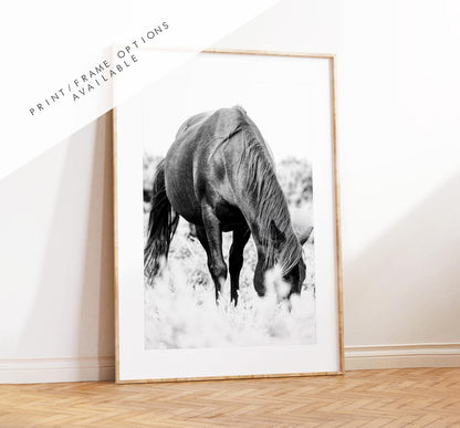 Horse Black and White Photography Print - New Forest - Hampshire Photography Prints - Wall Art -  Frame and Canvas Options - Portrait  - UK