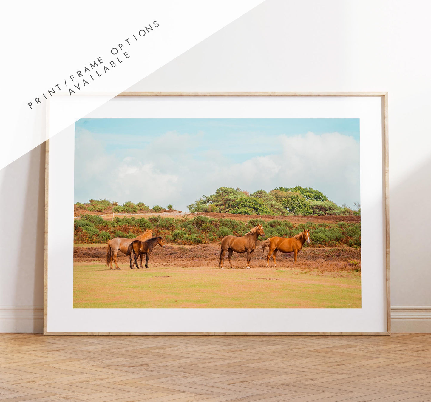 New Forest Photography Print - Hampshire Photography Prints - Wall Art -  Frame and Canvas Options - Landscape  - UK
