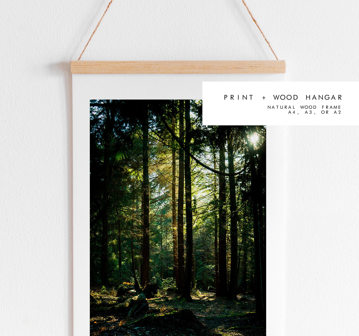 New Forest Photography Print - Hampshire Photography Prints - Wall Art -  Frame and Canvas Options - Portrait  - UK