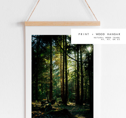 New Forest Photography Print - Hampshire Photography Prints - Wall Art -  Frame and Canvas Options - Portrait  - UK