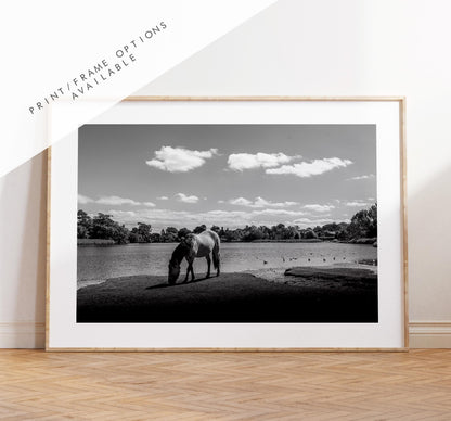 Beaulieu Black and White Photography Print - Hampshire Photography Prints - Wall Art -  Frame and Canvas Options - Landscape  - UK