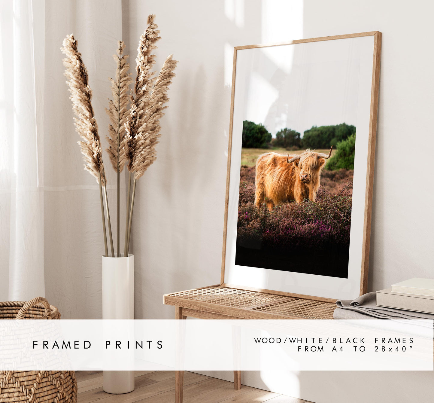 Highland Cow Photography Print - New Forest - Hampshire Photography Prints - Wall Art -  Frame and Canvas Options - Portrait  - UK