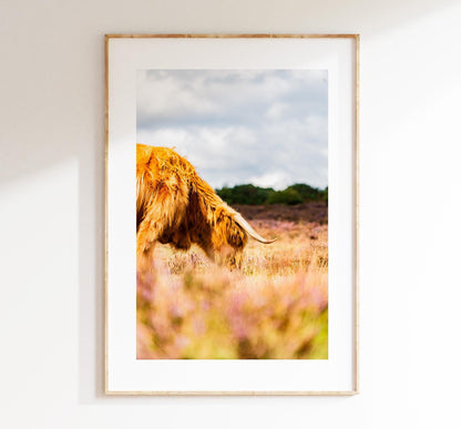 Highland Cow Photography Print - New Forest - Hampshire Photography Prints - Wall Art -  Frame and Canvas Options - Portrait  - UK