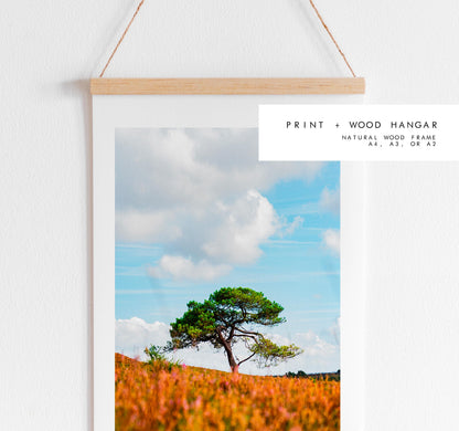 New Forest Photography Print - Hampshire Photography Prints - Wall Art -  Frame and Canvas Options - Portrait  - UK