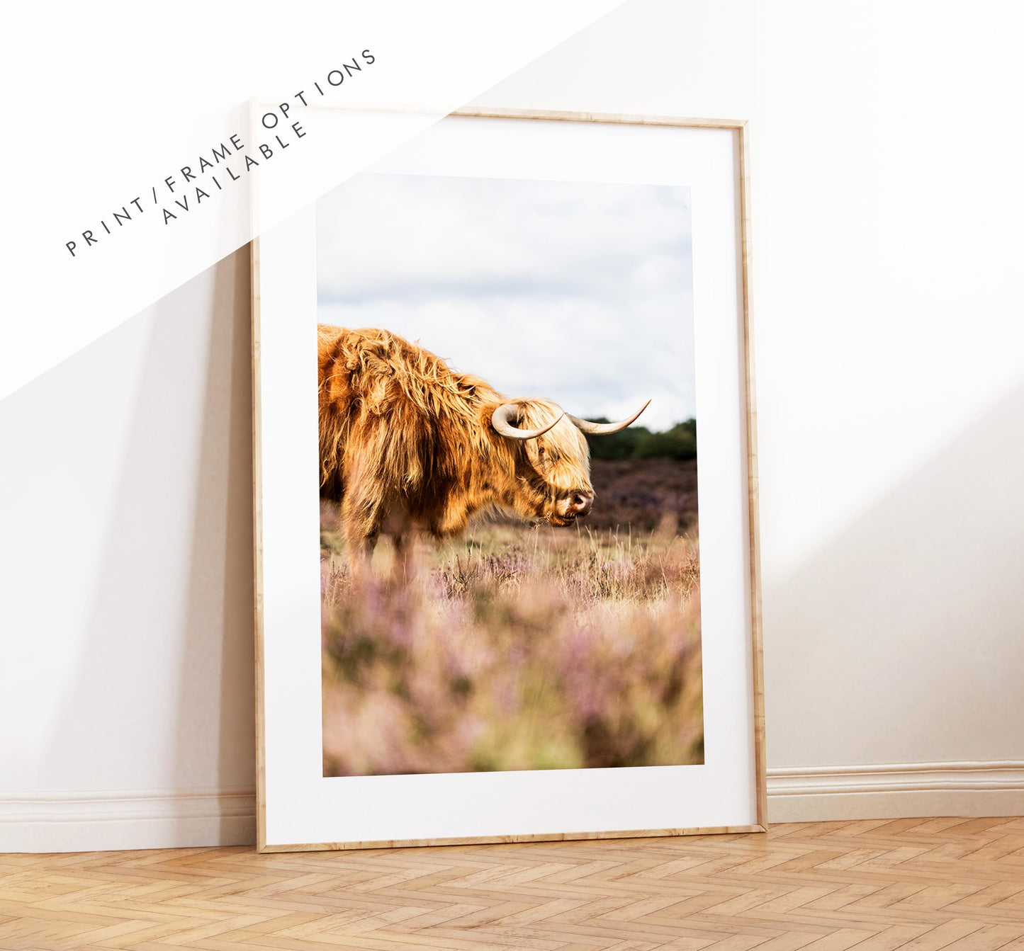 Highland Cow Photography Print - New Forest - Hampshire Photography Prints - Wall Art -  Frame and Canvas Options - Portrait  - UK