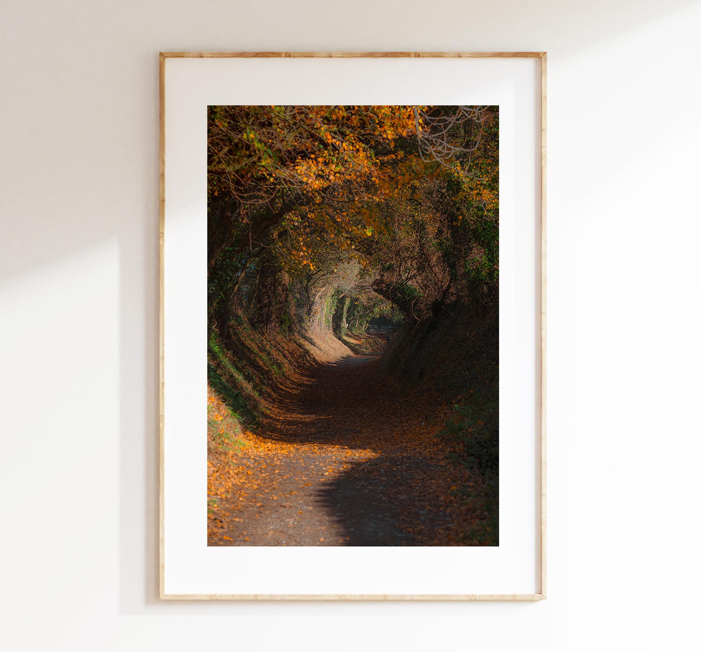 Halnaker Tree Tunnel Photography Print - West Sussex Photography Prints - Wall Art -  Frame and Canvas Options - Portrait  - UK