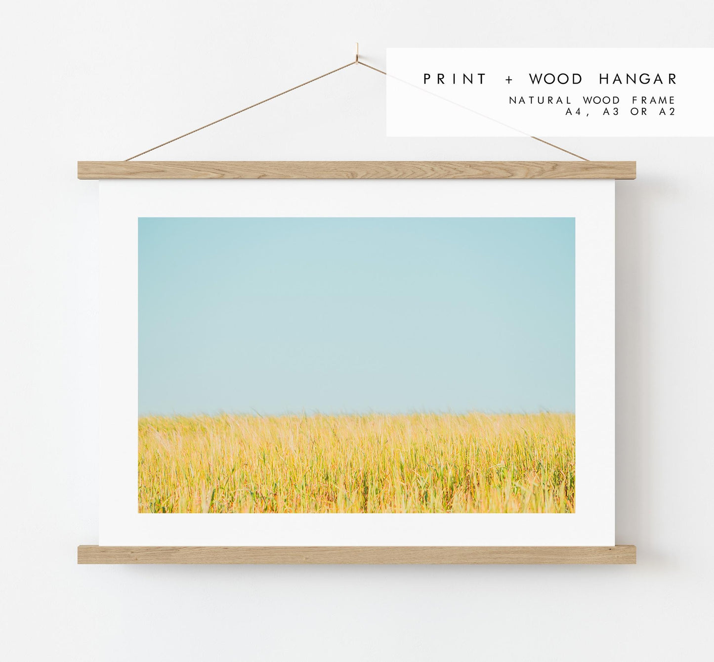 Field Photography Print - West Sussex Photography Prints - Wall Art -  Frame and Canvas Options - Landscape  - UK