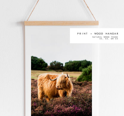 Highland Cow Photography Print - New Forest - Hampshire Photography Prints - Wall Art -  Frame and Canvas Options - Portrait  - UK