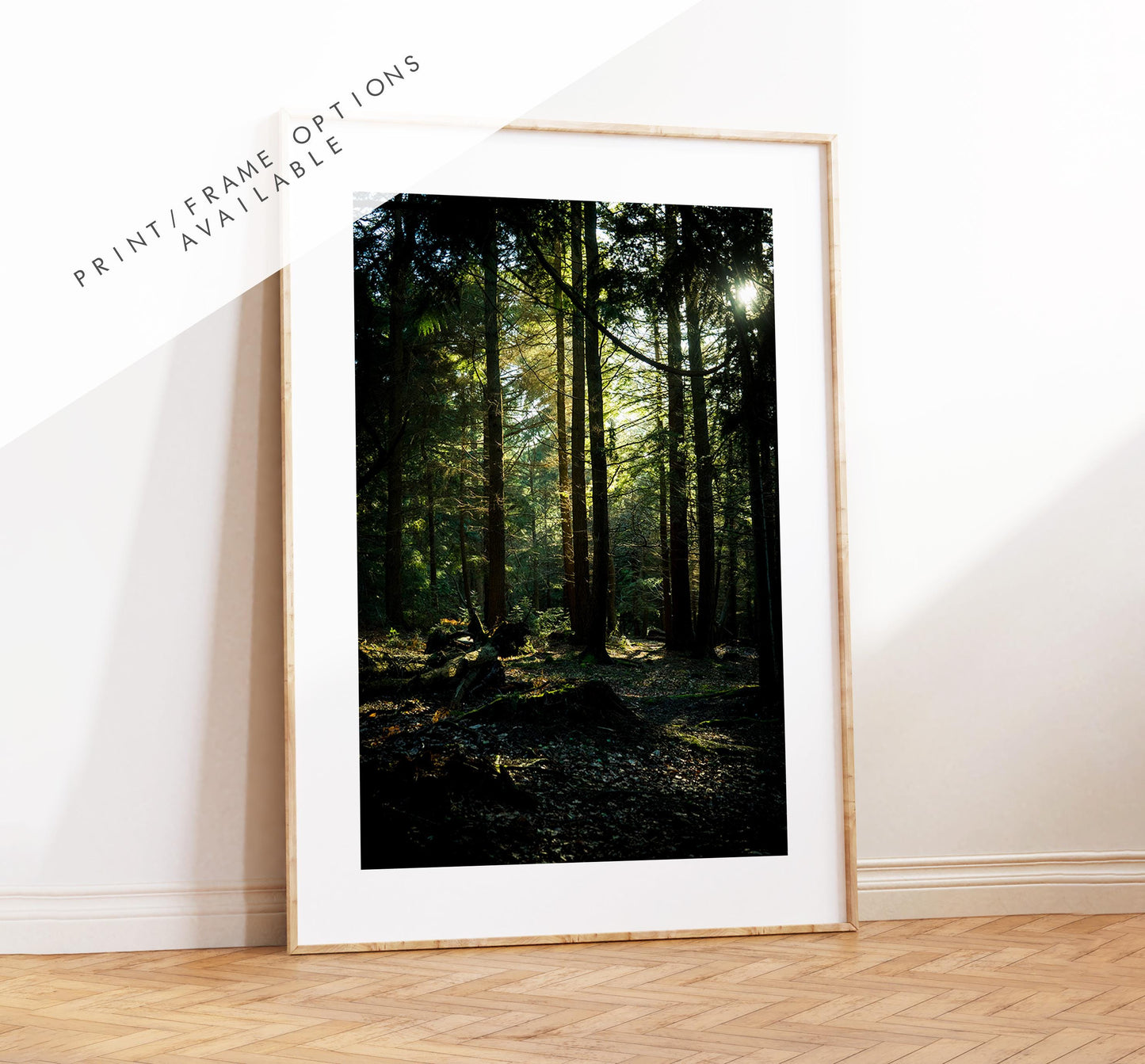 New Forest Photography Print - Hampshire Photography Prints - Wall Art -  Frame and Canvas Options - Portrait  - UK