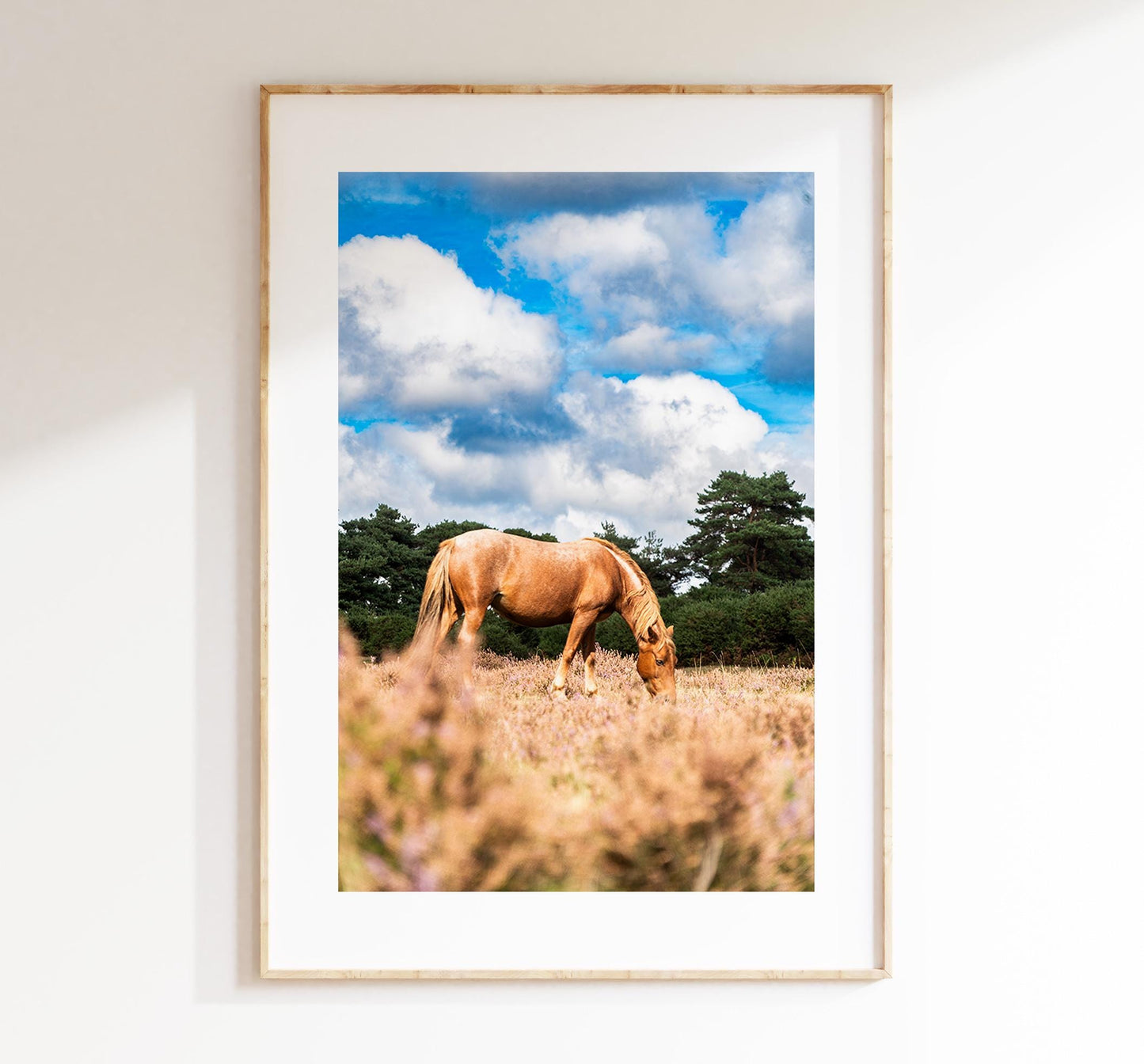 New Forest Pony Photography Print - Hampshire Photography Prints - Wall Art -  Frame and Canvas Options - Portrait  - UK