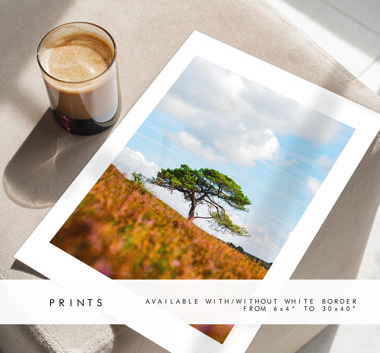 New Forest Print Set x3 - Prints or Framed Prints - Print Set of Three - New Forest Photography Prints - Hampshire Photography