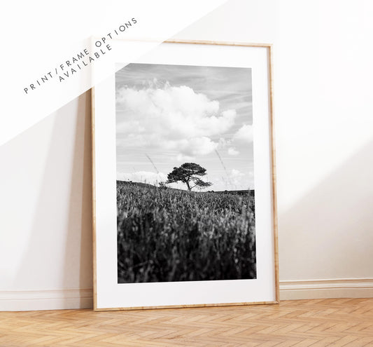 Black and White Tree Photography Print - New Forest - Hampshire Photography Prints - Wall Art -  Frame and Canvas Options - Portrait  - UK