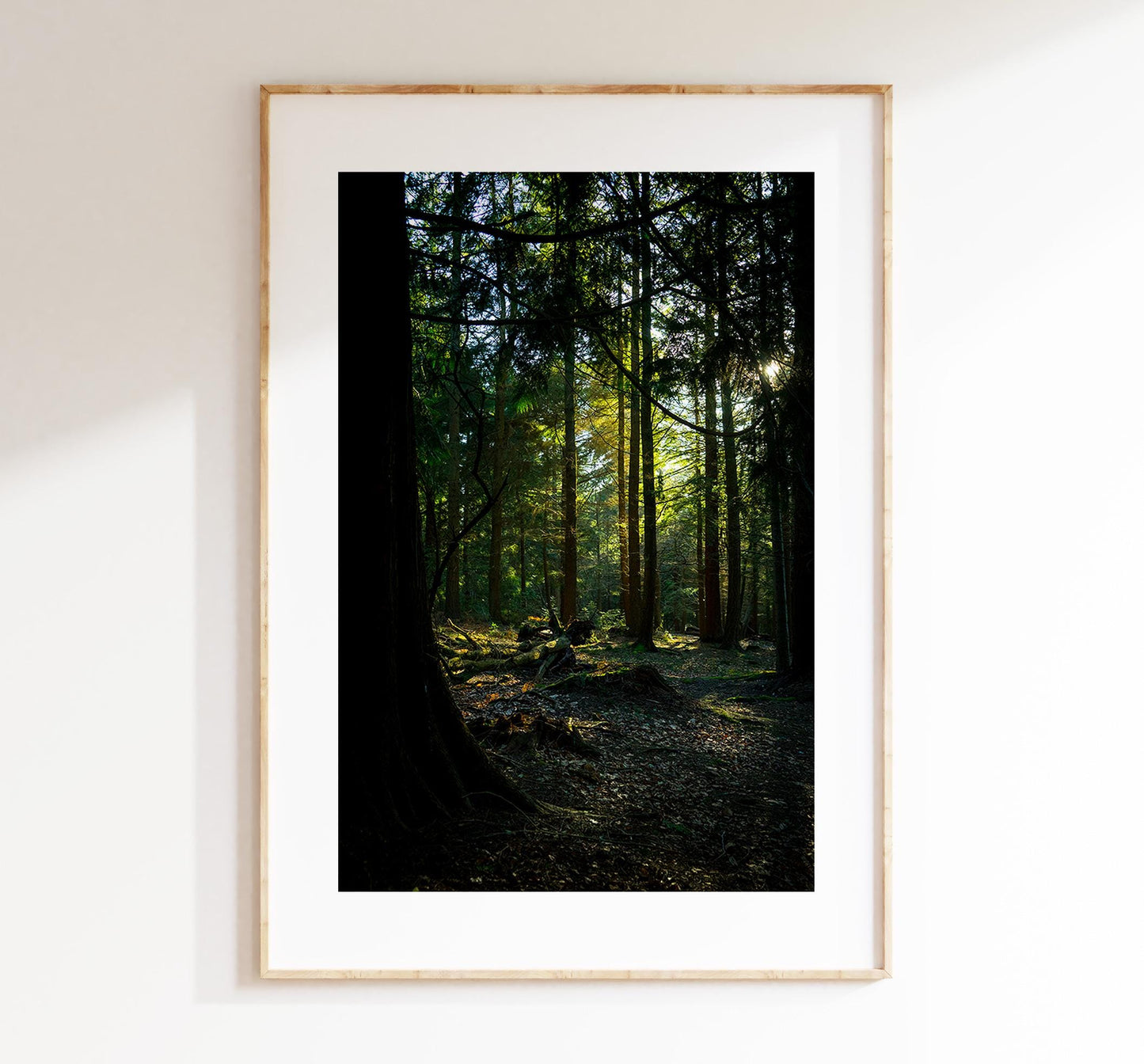 Forest Photography Print - New Forest - Hampshire Photography Prints - Wall Art -  Frame and Canvas Options - Portrait  - UK