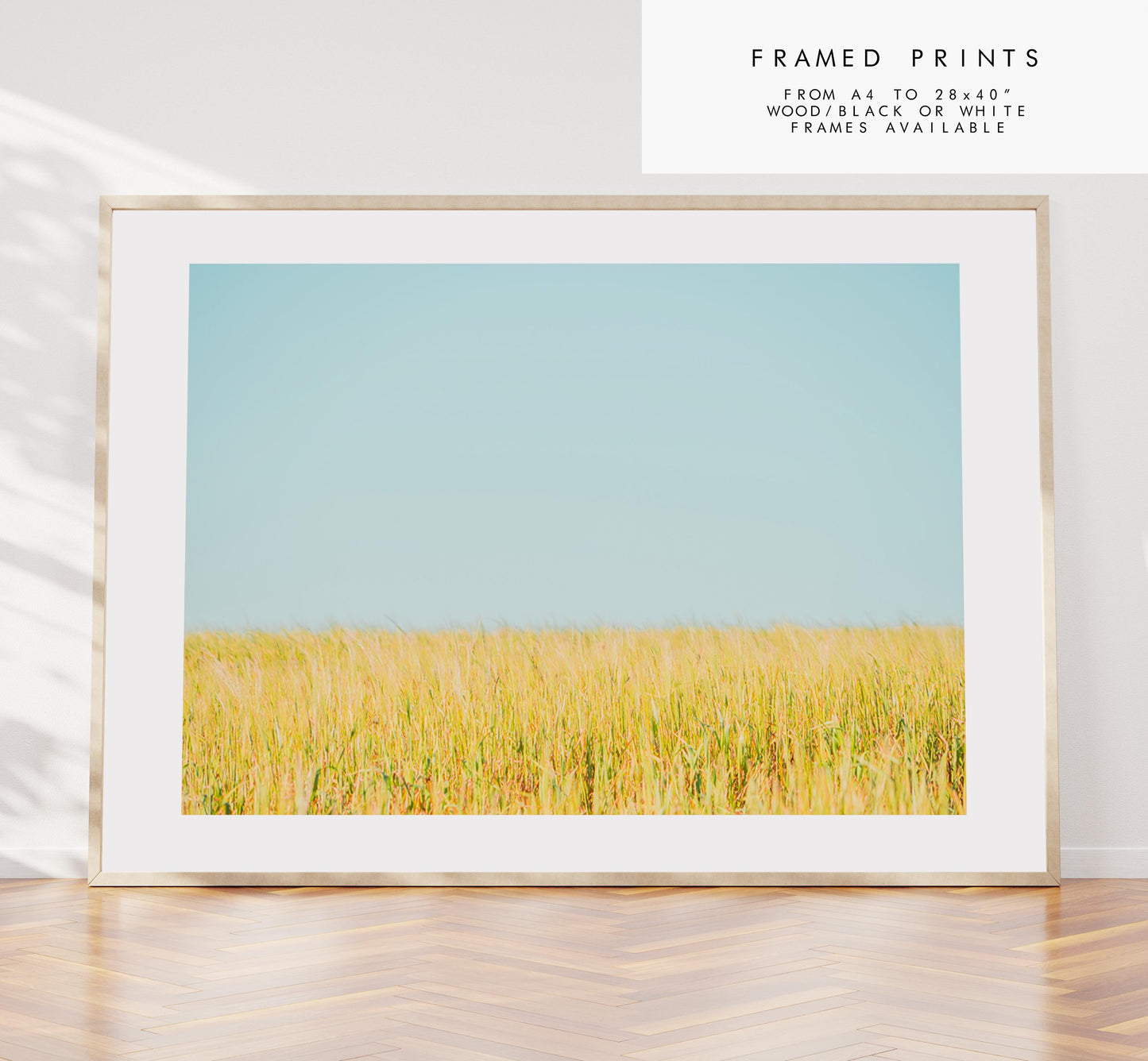 Field Photography Print - West Sussex Photography Prints - Wall Art -  Frame and Canvas Options - Landscape  - UK