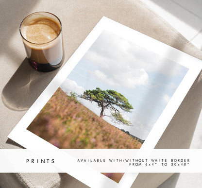 Lone Tree Photography Print - New Forest - Hampshire Photography Prints - Wall Art -  Frame and Canvas Options - Portrait  - UK