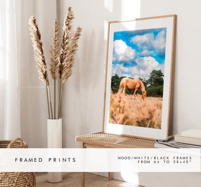 New Forest Pony Photography Print - Hampshire Photography Prints - Wall Art -  Frame and Canvas Options - Portrait  - UK