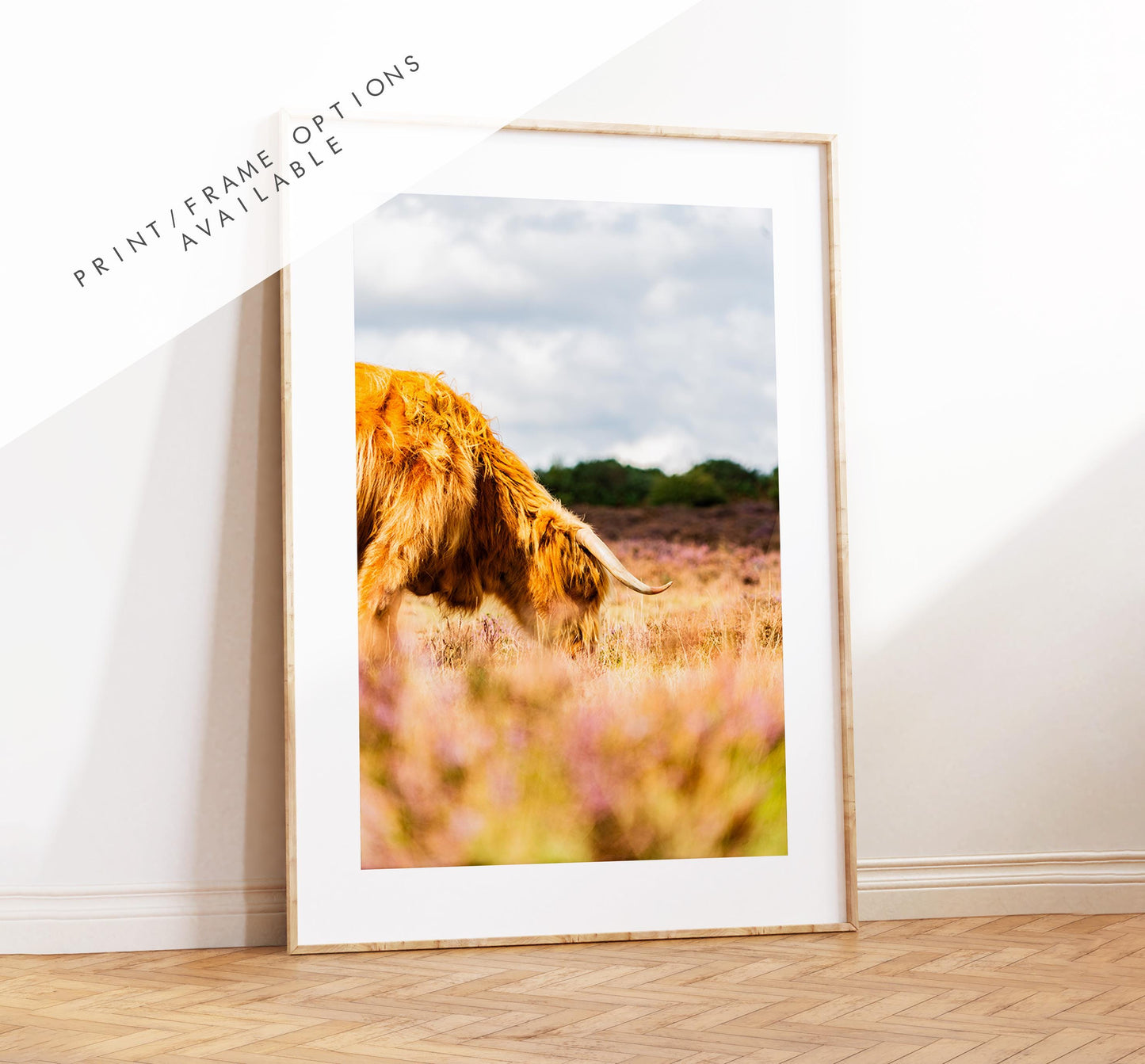 Highland Cow Photography Print - New Forest - Hampshire Photography Prints - Wall Art -  Frame and Canvas Options - Portrait  - UK