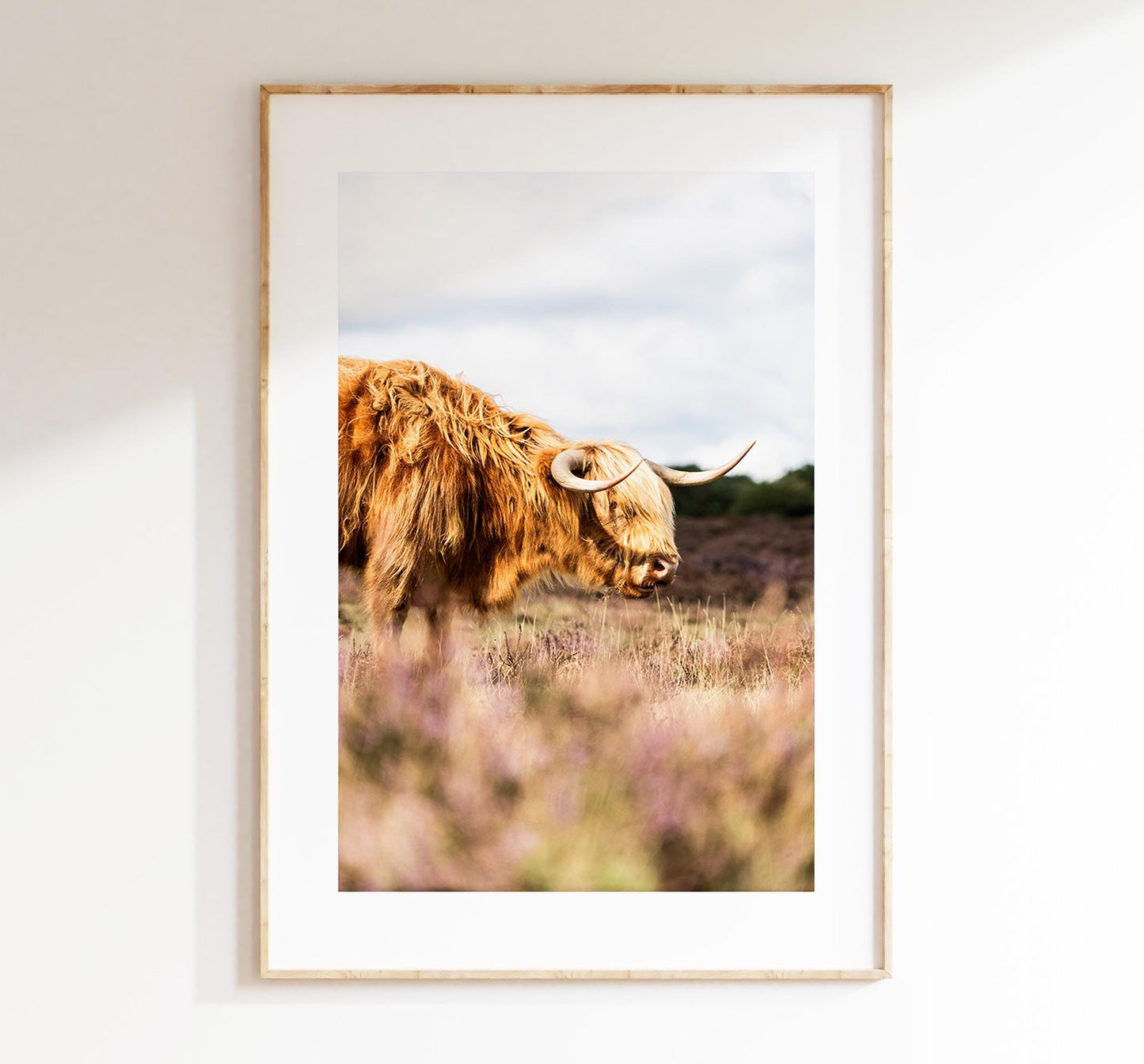 Highland Cow Photography Print - New Forest - Hampshire Photography Prints - Wall Art -  Frame and Canvas Options - Portrait  - UK