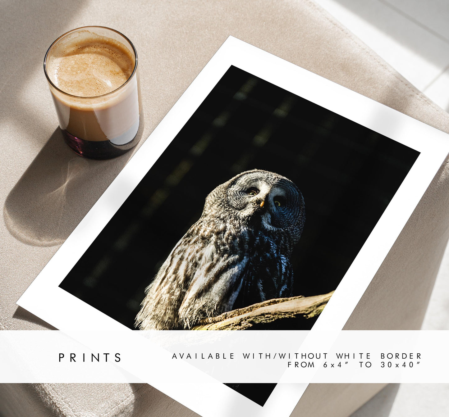 Great Grey Owl Photography Print - Hampshire Photography Prints - Wall Art -  Frame and Canvas Options - Portrait  - UK