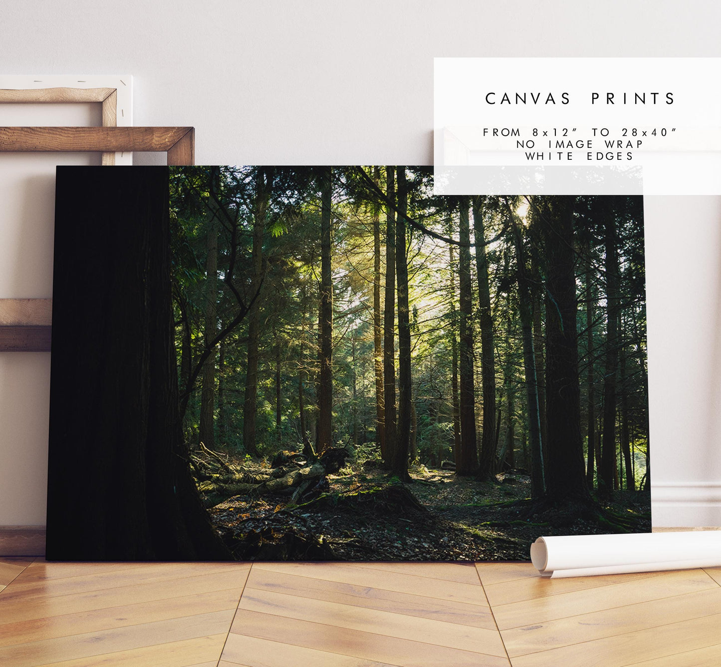 Forest Photography Print - New Forest - Hampshire Photography Prints - Wall Art -  Frame and Canvas Options - Landscape  - UK