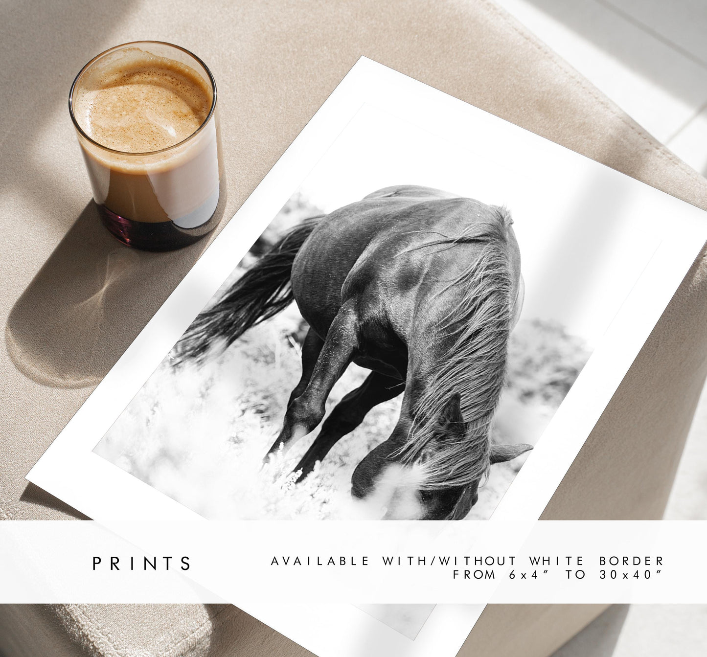 Horse Black and White Photography Print - New Forest - Hampshire Photography Prints - Wall Art -  Frame and Canvas Options - Portrait  - UK