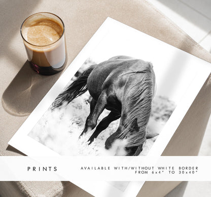 Horse Black and White Photography Print - New Forest - Hampshire Photography Prints - Wall Art -  Frame and Canvas Options - Portrait  - UK