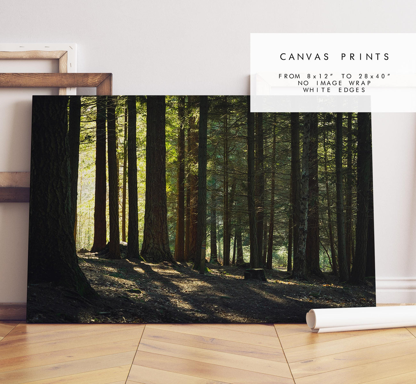 New Forest Photography Print - Hampshire Photography Prints - Wall Art -  Frame and Canvas Options - Landscape  - UK