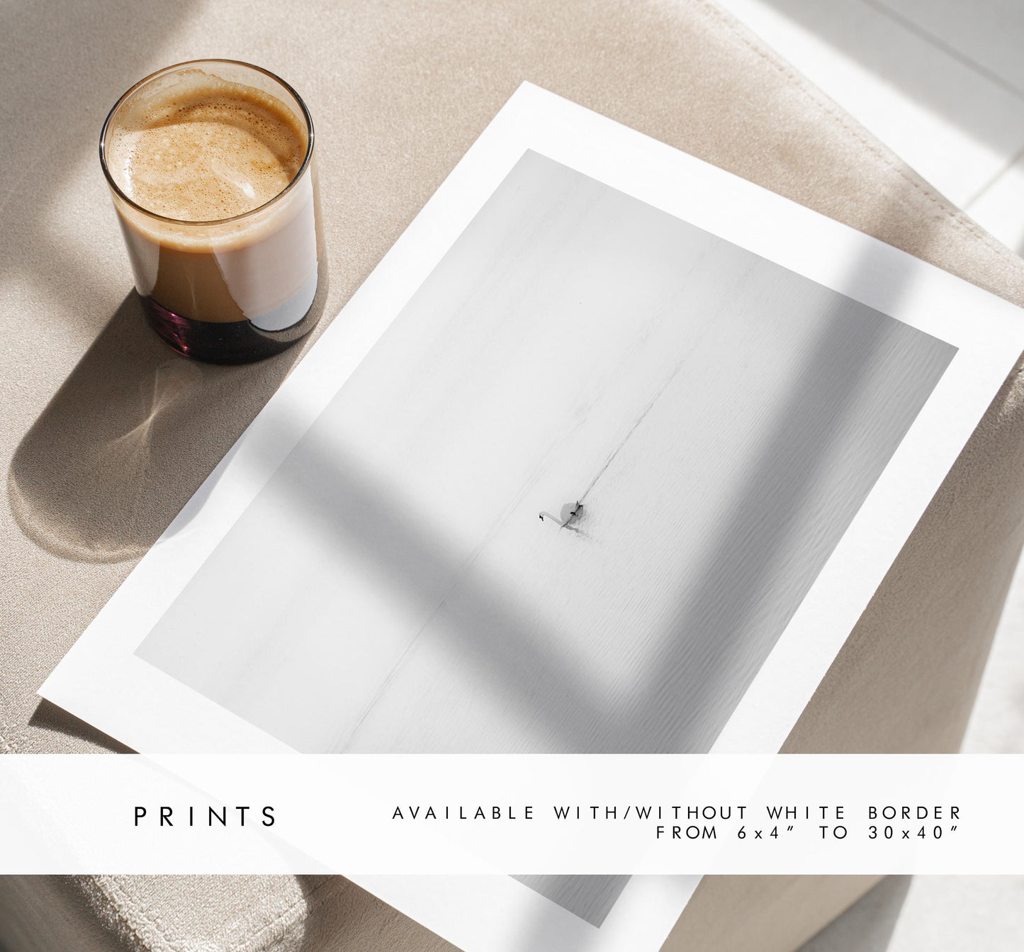 Swan Black and White Photography Print - Hampshire Photography Prints - Wall Art -  Frame and Canvas Options - Landscape  - UK