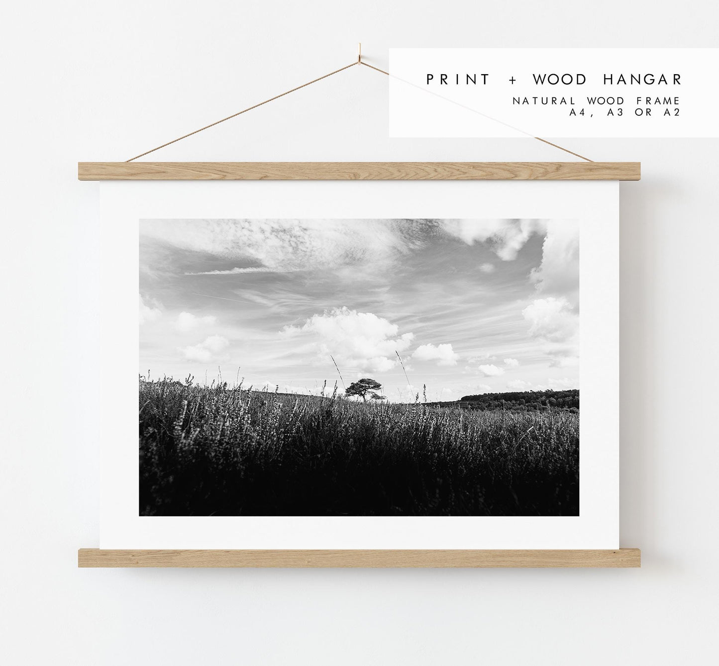 Lone Tree Black and White Photography Print - New Forest - Hampshire Photography Prints -  Frame and Canvas Options - Landscape  - UK